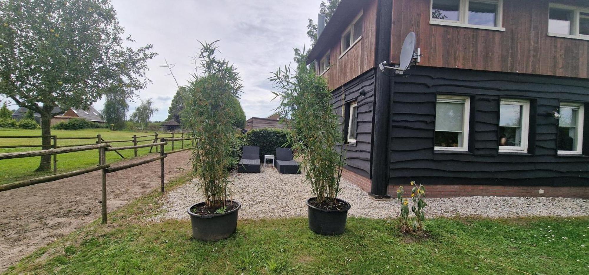 De Hooiberg Bed & Breakfast Elst  Eksteriør bilde